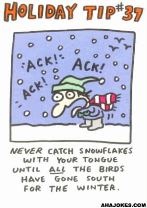 a_great_suggestion_for_winter.jpg